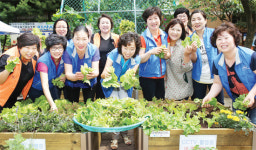 도농기원, 아파트 텃밭정원 공동체활성화 긍정적 효과
