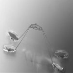 소금쟁이처럼 수면 위를 점프… 초경량 로봇 국내 연구진 개발