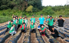 이천시 관고동 새마을협의회, 어려운 이웃 위한 김장배추심기 행사 진행