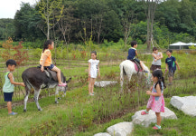 동키동산 체험농장 개장