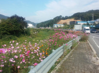 광주시 곤지암읍, 추석 손님맞이 환경 정비 실시