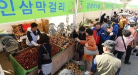 강화고려인삼센터석희네 | 제3회 강화 고려 인삼축제 성황