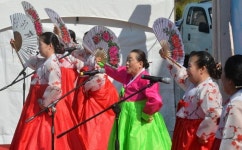 강화고려인삼센터석희네 | 제3회 강화 고려 인삼축제 성황