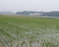 [추천 경매물] 화성시 반송동 아파트 外