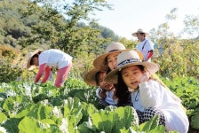 자연에 물든 하룻밤… 경기북부 1박2일 농촌민박 프로그램