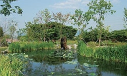 색동옷 벗기전… 겨울문턱 낭만으로 초대 구리 장자호수공원