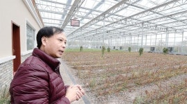 [FTA 시대를 살다] 完. 중국산과 차별화 절실