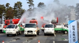 2015 구제역 현장방역 가상훈련