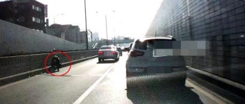 [2보] 수원 지하차도 돈다발… 30대가 차 위에 600만원 올려놓은채 출발 ‘실수’