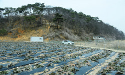 “인간의 욕심 무섭다”… 잠 못드는 수리부엉이