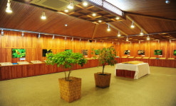 국립수목원 나비표본 및 생태사진 전시, 나비 매력에 빠져보세요