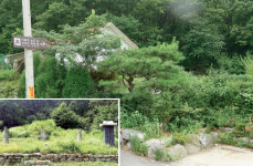 왜구잡던 이종무장군 묘 진입로도 사라진 채 방치