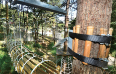 평택시, 산림체험장 만들겠다고 자연목 수십그루 훼손