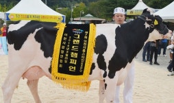 홀스타인 EXPO 성황리 개최