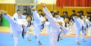 경기도 태권도 ‘동호인축제’ 2016 경기도의장배 태권도대회 17일 개막