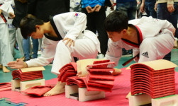 경기도의회의장배 생활체육태권도대회
