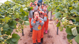 수원시 농업기술센터, 고효율ㆍ친환경 농업 선도… 명품 강소農 키운다