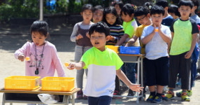 송죽 꿈동이 체육대회…함박웃음을 머금은 새싹들