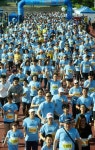 2017 과천마라톤 대회, 14일 관문체육공원서 힘찬 스타트