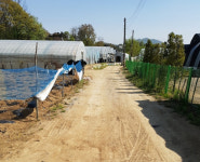 “삼남길, 도로로 지정해달라” 과천시 갈현동 주민들 요구