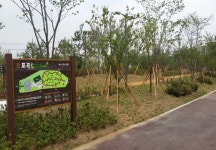 용인, 포곡읍 유휴국공유지에 포곡도시숲공원 조성