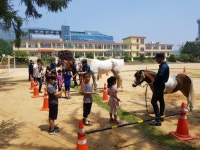 인천 강화 삼성초등학교, 인천기마경찰대 초청 어린이 승마체험 교실 열어
