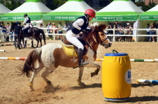 2017 가족과 함께하는 유소년 승마축제 성료