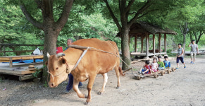 [올 여름, 농촌마을에서 힐링] 경기도 체험형 농촌교육 농장
