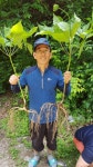 ‘약초시대’ 동호회 이세영씨 “심봤다~” 강원도 인제서 산삼 9뿌리 발견