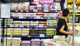 [살충제 계란 파문_소비자 불신 팽배] 주부들 “이상은 없다지만… 당분간 계란 구매 사절”