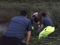 “생명의 은인, 경찰에 감사합니다” 하천 범람에 떠내려간 장애인 휠체어 찾아준 경찰