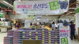 화성 송산포도 판촉행사 곳곳서 열려