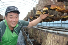 김승회 활기찬 농원 대표 “상황버섯 판로 고민… SNS로 길 찾았죠”