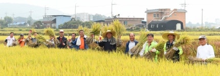 “대왕님표 여주쌀 최고!” 세종대왕릉역 인근서 벼베기 행사