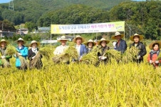 광주시, 도척 친환경 쌀 판매촉진 ‘메뚜기 잡기 행사’ 실시