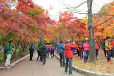 단풍명소 소요산, 모노레일 타고 즐긴다