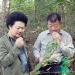 ‘나는 자연인이다’ 절망 끝에 찾은 행복, 70세 오세홍 씨의 산골 이야기