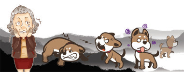 불로동 주민들 ‘도그 포비아’…‘공포의 들개’ 초등학교까지 어슬렁