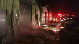 평택, 귀뚜라미 농장에서 화재, 귀뚜라미 2억 마리 폐사