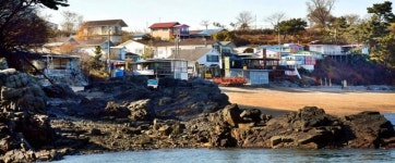 국화도에 난립한 불법 펜션들 이행 강제금 내면서 배짱 영업