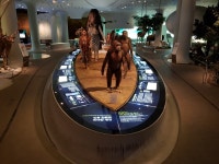 연천 전곡선사박물관, 겨울방학 맞아 상설전시 리모델링