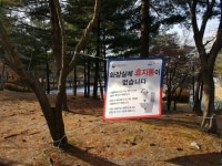 성남시 공중화장실 휴지통 없앤다… 근린공원 우선 시행