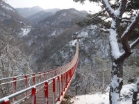 ‘둘레길 천국’ 파주에 관광객 몰린다