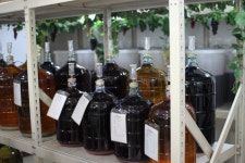 [문화로쉼표찾기] 새로운 사교문화, 수제와인 만들기