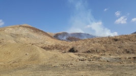 파주 무건리 훈련장 사격훈련 중 산불… 인근 임야로 번져