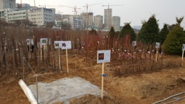 광주성남하남산림조합 나무전시판매장 운영