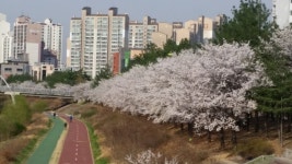 의정부 민락2지구 민락천-부용천 연결, 50km산책로(자전거길) 만든다