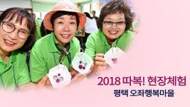 [영상] 2018 따복! 현장체험 평택 오좌행복마을