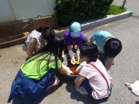 김포 월곶초등학교, 초록별 지구와  더 가까이 체헌중심 환경교육 실시