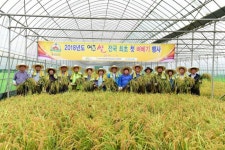전국민 1%만 먹는 귀한 여주쌀 첫 벼베기 행사 가져
